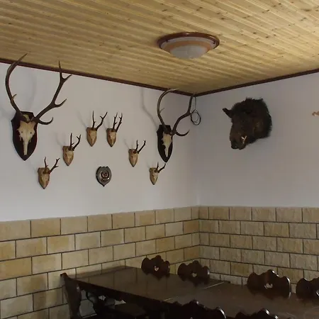Guest house Pohoda Jetrichovice (Usti nad Labem)